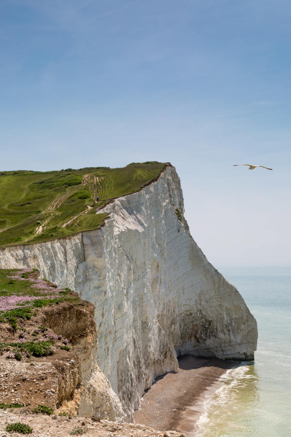 Seaford Pavilion