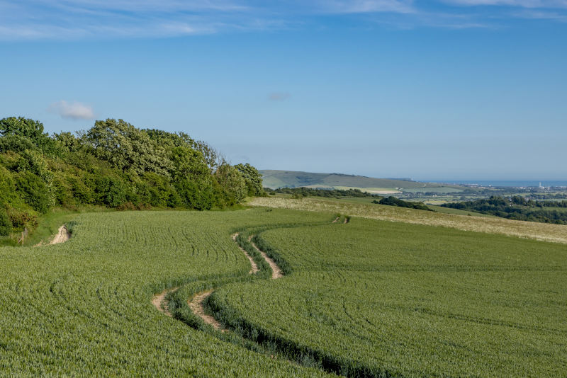 Image of a field in Seaford