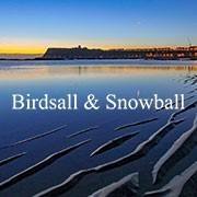 Birdall and Snowballl